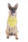 2 Pack Paisley Polyester Pets Dogs Bandana Triangle Shape - Oversized